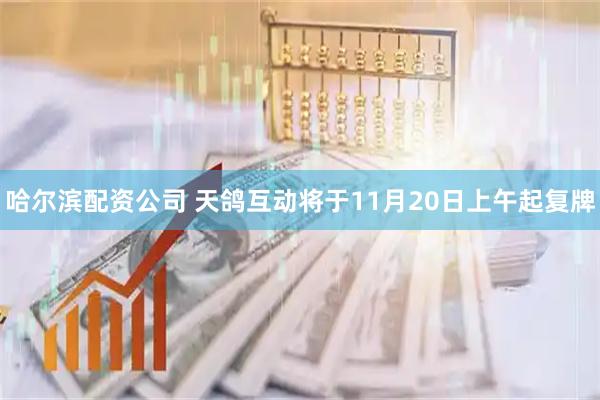 哈尔滨配资公司 天鸽互动将于11月20日上午起复牌